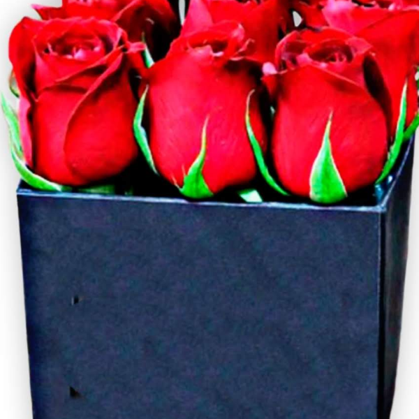 Surpresa de Rosas Vermelhas