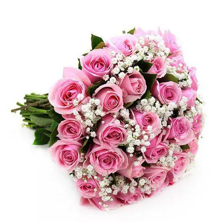 Buqu� com 20 Rosas Pink 