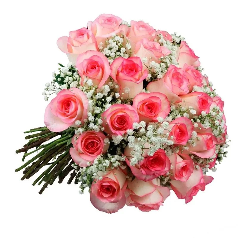Buqu� com 20 Rosas Cor de Rosa e Gypsophila