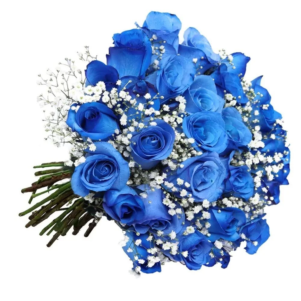 Buqu� com 20 Rosas Azuis e Gypsophila