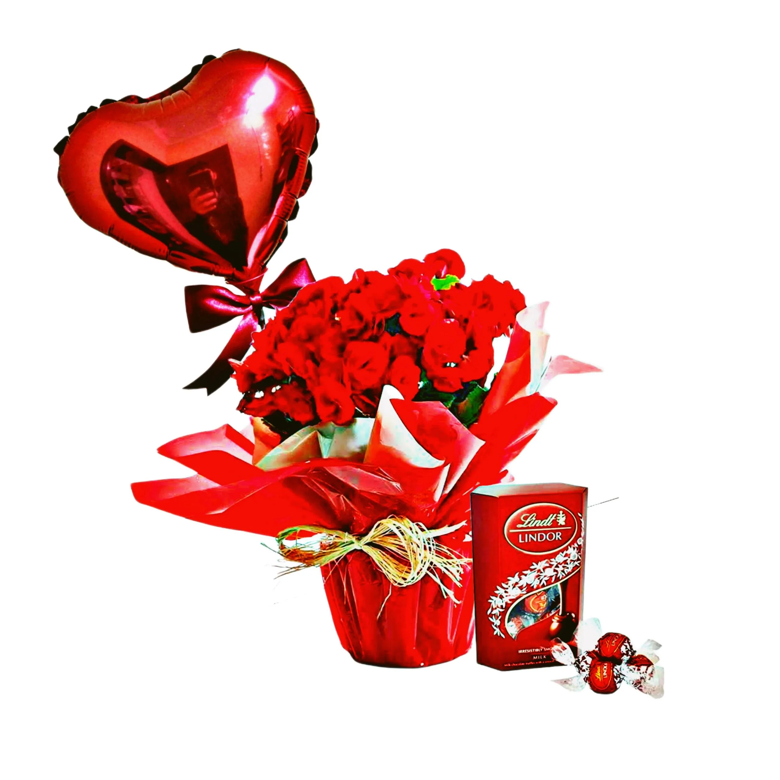 Um Belo Dia pra voc� Com Beg�nia e Lindt