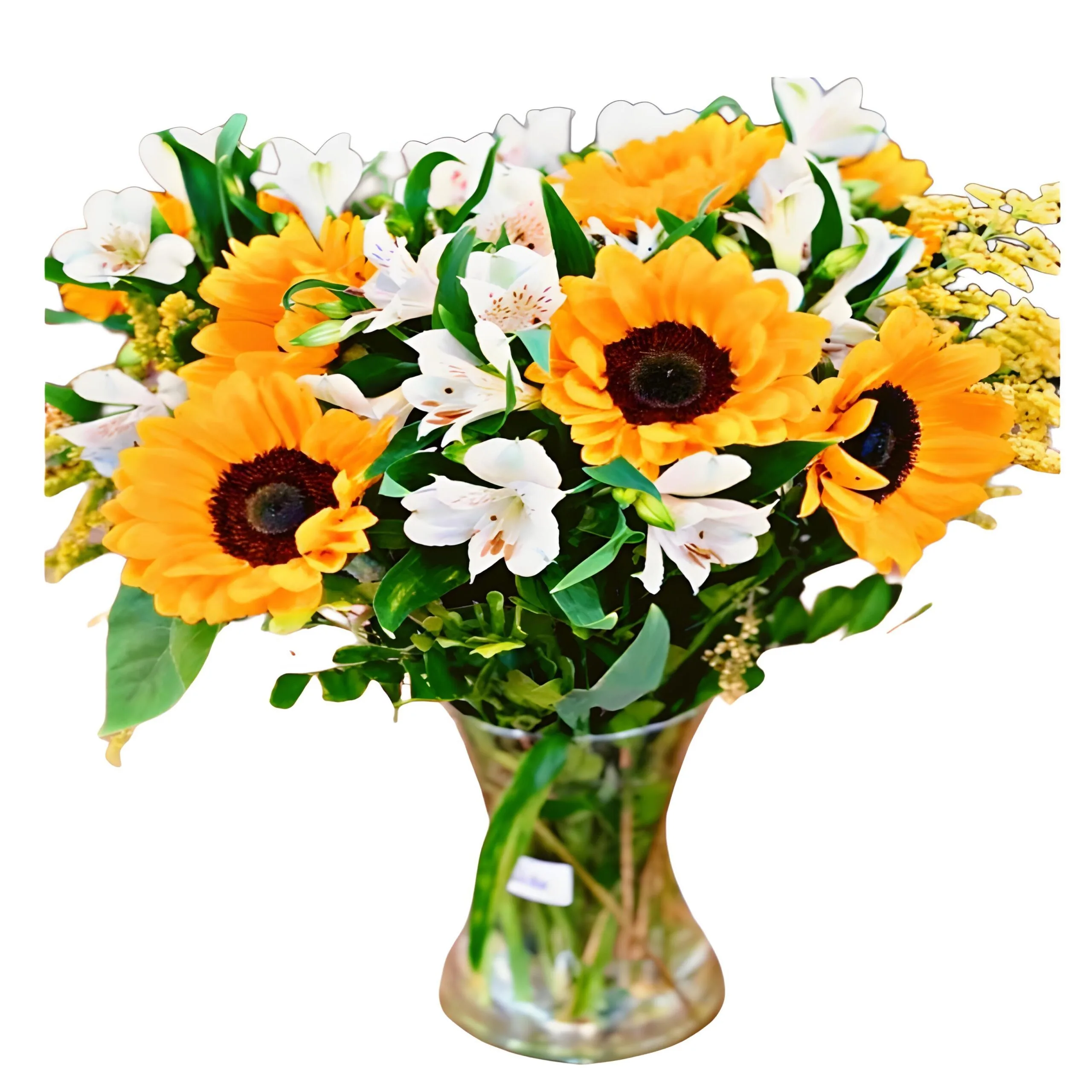  Luxuosos Girass�is no Vaso